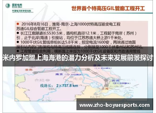 米内罗加盟上海海港的潜力分析及未来发展前景探讨