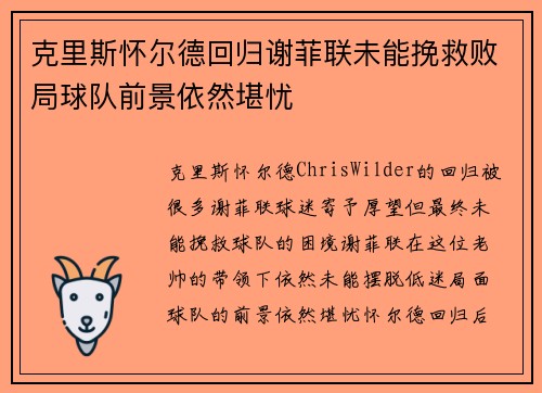 克里斯怀尔德回归谢菲联未能挽救败局球队前景依然堪忧